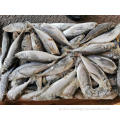 Frozen Horse Mackerel Haccp Frozen Sacd Whole Round Big Eye Horse Mackerel Export For Market 16-20cm Manufactory